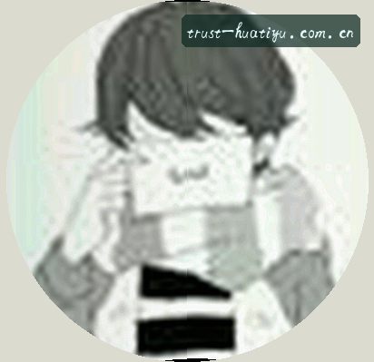 刘涛